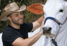 Đây là con bò đắt nhất thế giới với trọng lượng hơn 1 tấn và có giá hơn 4 triệu USD