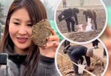 Kiếm gần 1 triệu đô nhờ mổ lợn, cô gái trẻ khiến đất quanh nhà hóa bùa hộ mệnh bán giá đắt hơn vàng