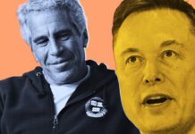 Cổ phiếu Tesla đang lao dốc kể từ khi Musk bị bóc trần trong hồ sơ Epstein