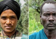 Sau khi người Homo sapiens rời khỏi châu Phi, họ mất bao lâu để tiến hóa các đặc điểm thể chất của người da trắng, da đen và người châu Á?