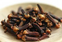 Từ kẹo cao su và hàng hóa xa xỉ đến gia vị nhà bếp: Tại sao đinh hương lại đa dụng đến vậy?