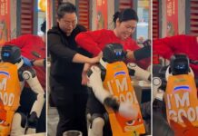 Robot biểu diễn bất ngờ “nổi loạn” trong nhà hàng, đập phá bát đĩa khiến nhân viên vất vả khống chế giữa đám đông hoảng loạn