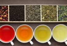 Tại sao ba loại cây trồng chính để sản xuất đồ uống trên thế giới là trà, cà phê và ca cao đều mang vị đắng?