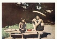 Bắc Kỳ Tạp Lục