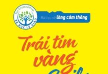 Bài Học Về Lòng Cảm Thông – Trái Tim Vàng Của Emily (Song Ngữ)