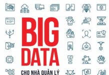 Big Data Cho Nhà Quản Lý