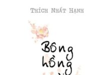 Bông Hồng Cài Áo