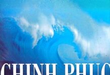 Chinh Phục Các Làn Sóng Văn Hóa