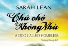 Chú Chó Không Nhà