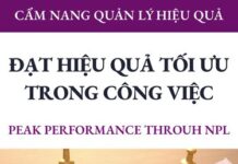 Đạt Hiệu Quả Tối Ưu Trong Công Việc