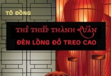 Đèn Lồng Đỏ Treo Cao