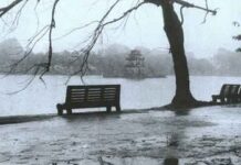 Hà Nội Cũ Nằm Đây