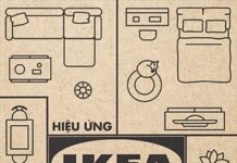 Hiệu Ứng IKEA Và Hành Trình Chinh Phục Thế Giới