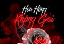 Hoa Hồng Không Gai