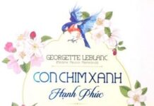 Con Chim Xanh Hạnh Phúc
