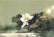 Thiền Là Một Nhành Hoa