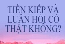 Tiền Kiếp Và Luân Hồi Có Thật Hay Không?