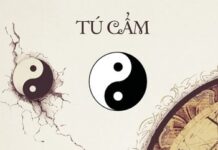 Trở Về Năm 1981