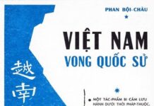 Việt Nam Vong Quốc Sử